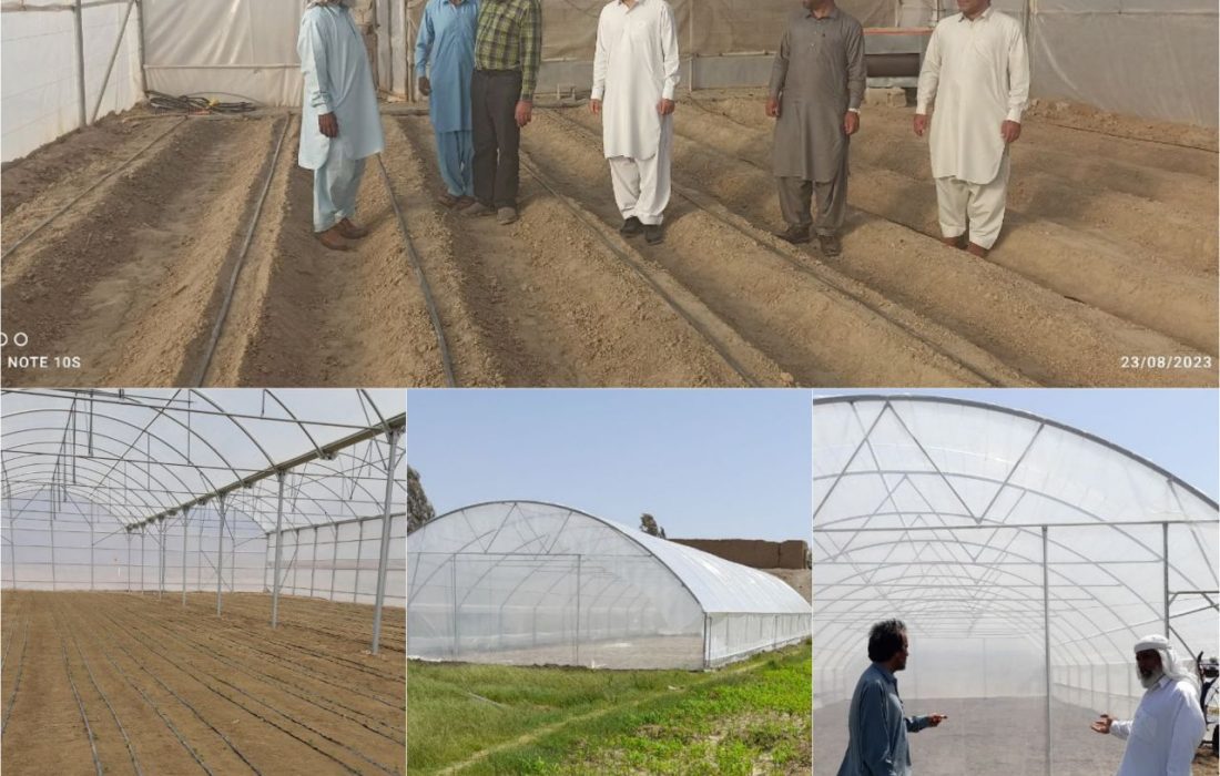 توسعه ۵ هکتاری گلخانه های خانگی در مهرستان