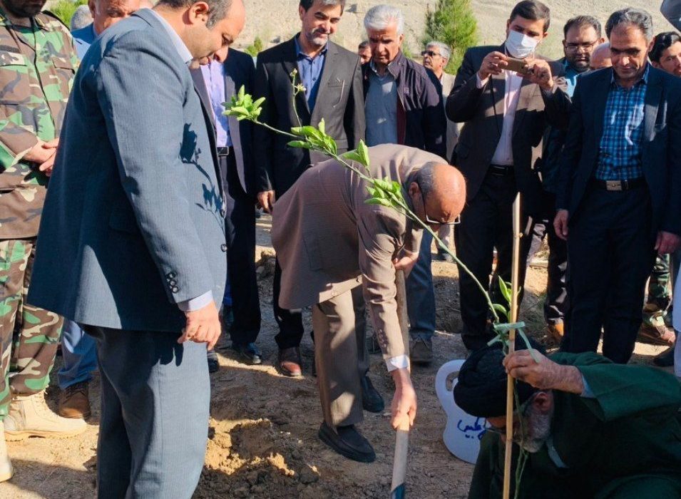 طرح مردمی کاشت یک میلیارد درخت در سیستان و بلوچستان آغاز شد