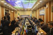 برگزاری جلسه شورای عالی نظام پرستاری/ وزیر بهداشت عضو افتخاری سازمان نظام پرستاری شد