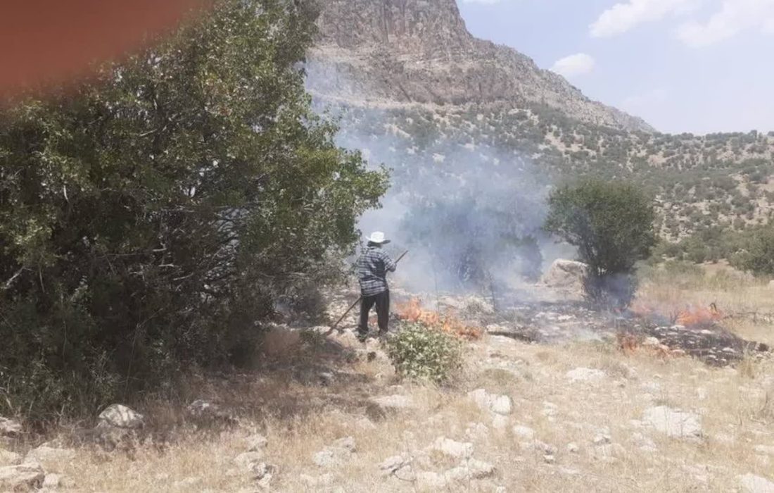 آتش‌سوزی در منطقه حفاظت شده تنگ بستانک مهارشد 