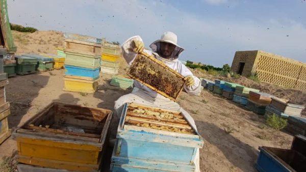 پرداخت ۶۲۰ میلیارد تومان تسهیلات اشتغال‌زایی برای مددجویان خراسان رضوی