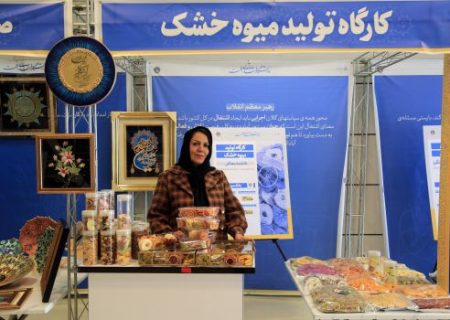 بازدید مدیران سازمان ملی بهره‌وری ایران از طرح‌های اشتغال مددجویان کمیته امداد